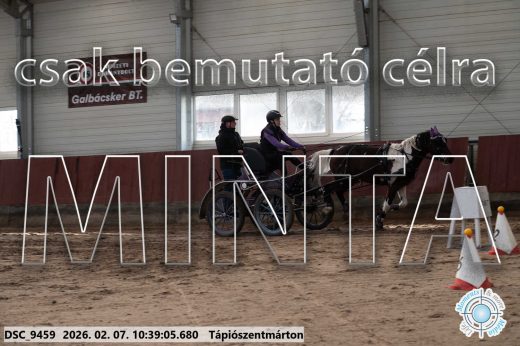 Mintakép 20260207-647