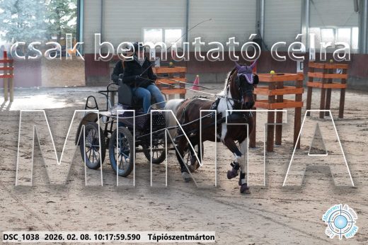 Mintakép 20260208-1043