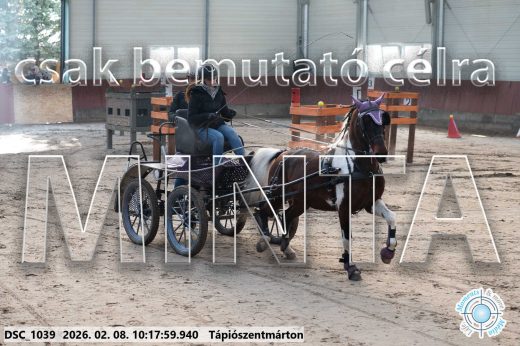 Mintakép 20260208-1044