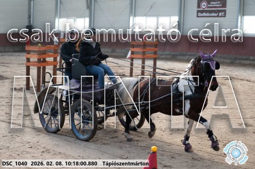 Mintakép 20260208-1045