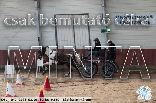Mintakép 20260208-1047