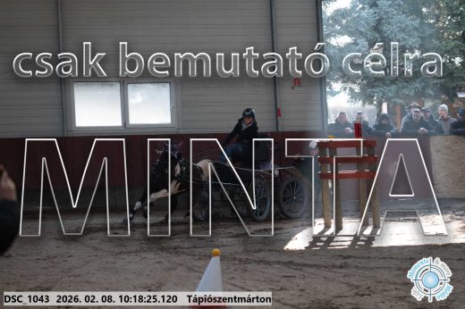 Mintakép 20260208-1048