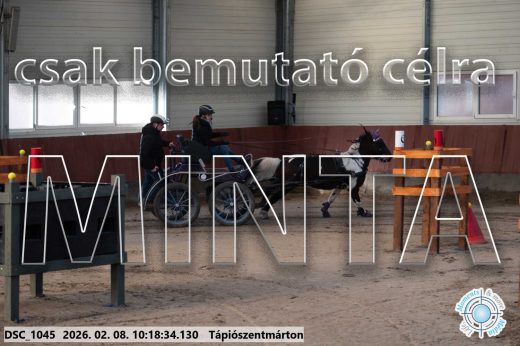 Mintakép 20260208-1049