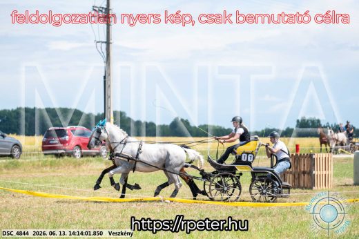 Mintakép 20260613-585