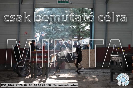 Mintakép 20260208-1050