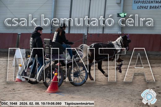 Mintakép 20260208-1051
