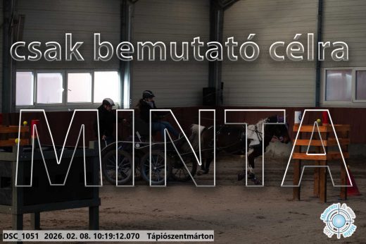 Mintakép 20260208-1053