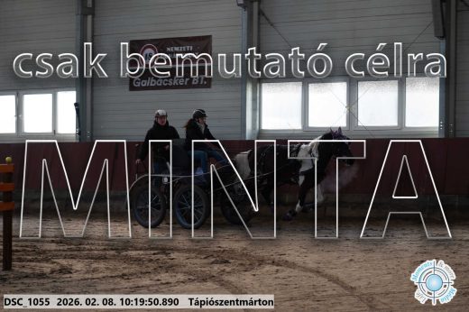 Mintakép 20260208-1056