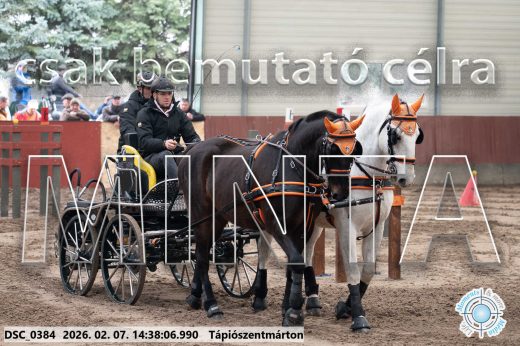 20260207-143806-DSC_0384.jpg