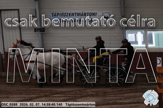 Mintakép 20260207-653