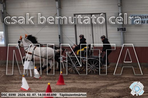 Mintakép 20260207-655