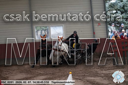 Mintakép 20260207-656