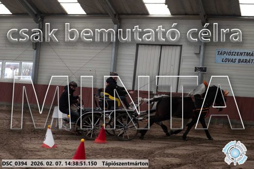 Mintakép 20260207-659