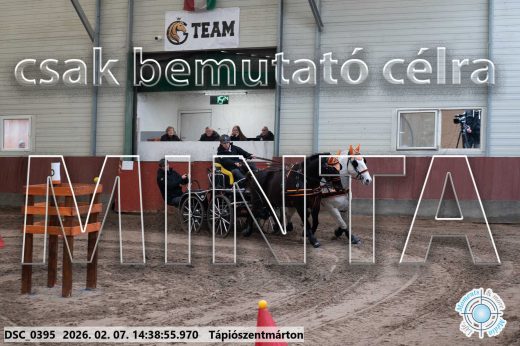 Mintakép 20260207-660