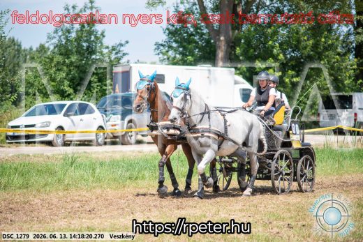 Mintakép 20260613-587