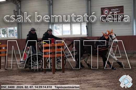 Mintakép 20260207-665
