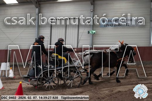 Mintakép 20260207-667