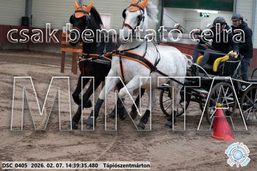 Mintakép 20260207-670