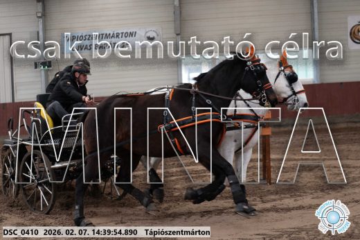 Mintakép 20260207-675