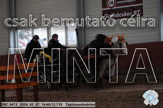 Mintakép 20260207-678