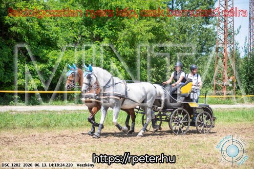 Mintakép 20260613-589