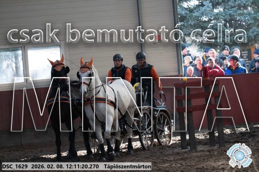 Mintakép 20260208-1058