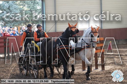 Mintakép 20260208-1059