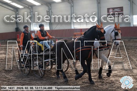 Mintakép 20260208-1060