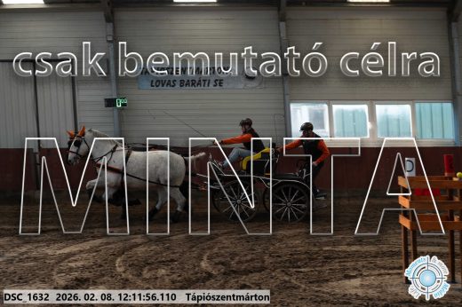 Mintakép 20260208-1061