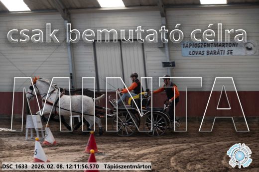 Mintakép 20260208-1062