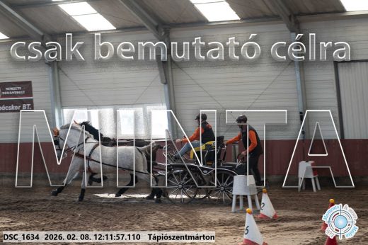 Mintakép 20260208-1063