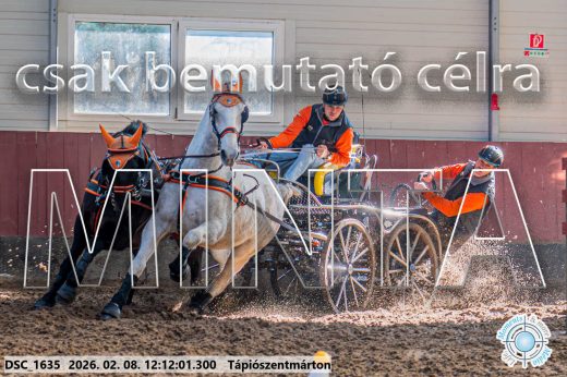 Mintakép 20260208-1064