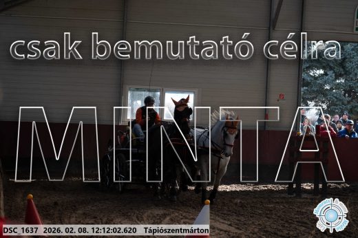 Mintakép 20260208-1066