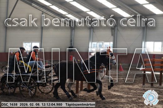 Mintakép 20260208-1067