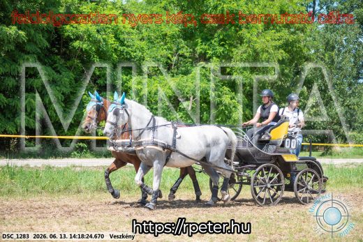 Mintakép 20260613-590