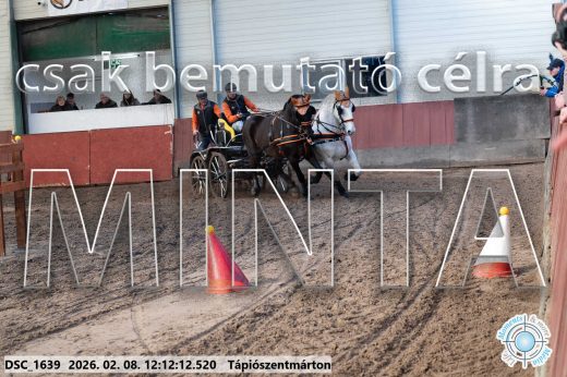 Mintakép 20260208-1068