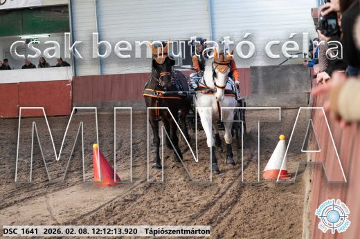 Mintakép 20260208-1070
