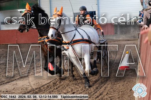 Mintakép 20260208-1071