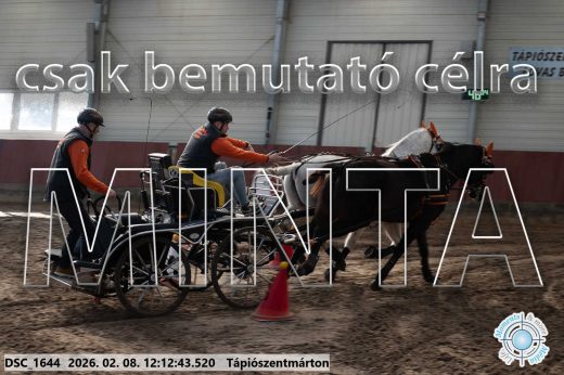 Mintakép 20260208-1073