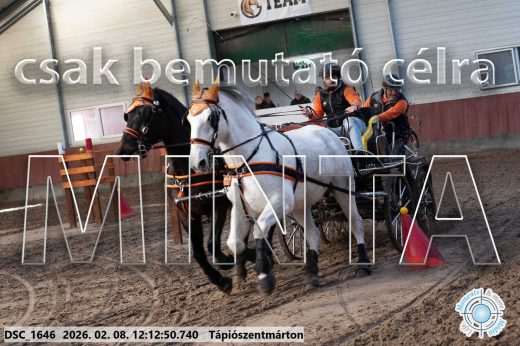 Mintakép 20260208-1075