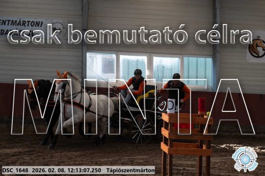 Mintakép 20260208-1076