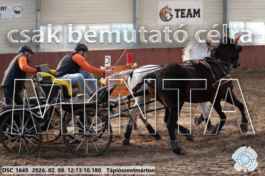 Mintakép 20260208-1077