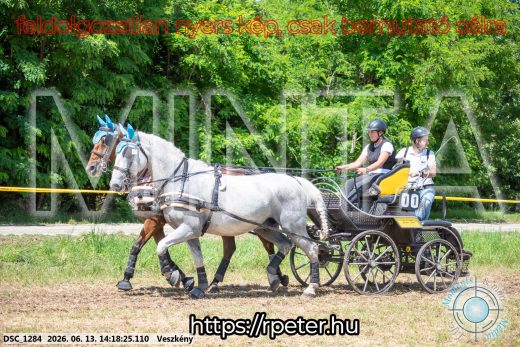 Mintakép 20260613-591