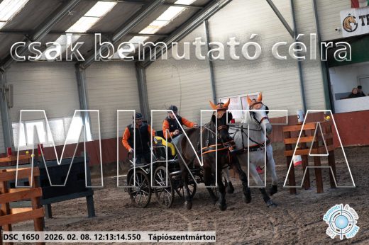 Mintakép 20260208-1078