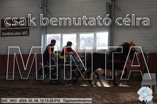 Mintakép 20260208-1081