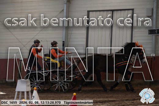 Mintakép 20260208-1082