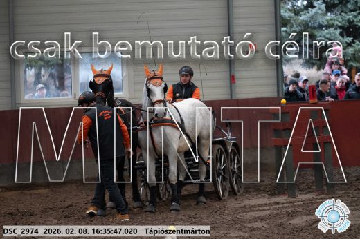 Mintakép 20260208-1085