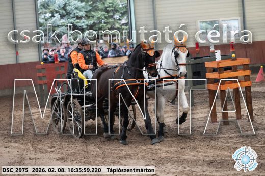 Mintakép 20260208-1086