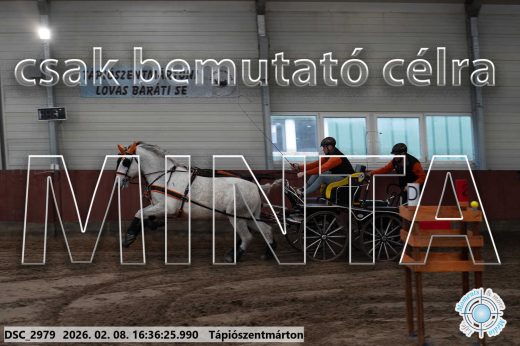Mintakép 20260208-1090