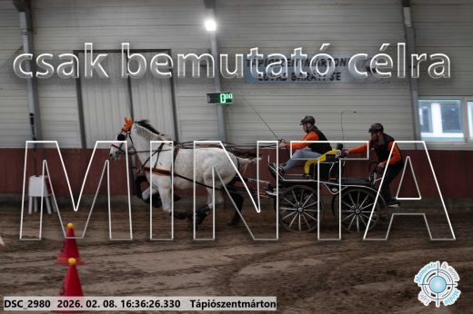 Mintakép 20260208-1091